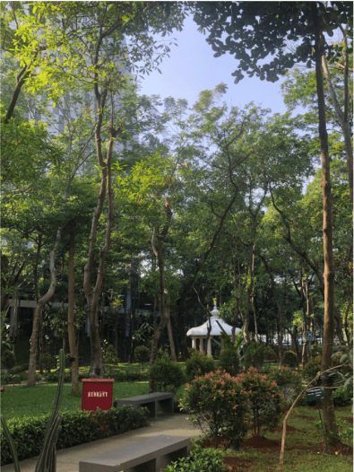 Oasis Hijau UMN: Sebuah Etalase Lansekap Berkelanjutan